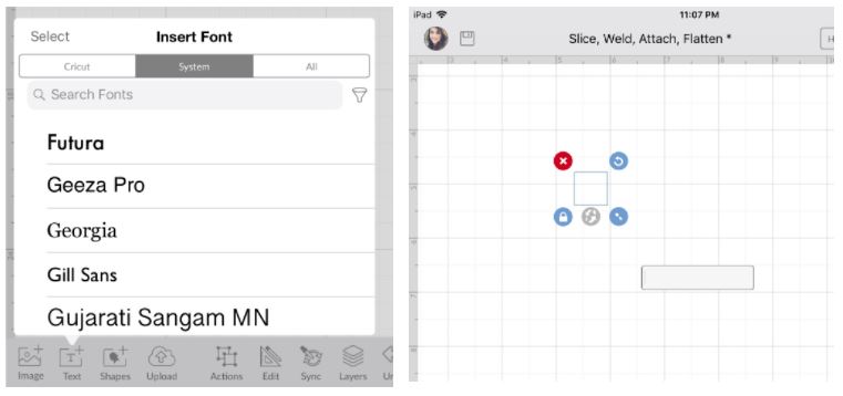 Add text screenshot