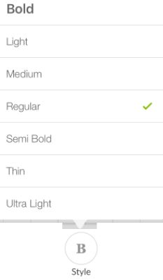 Font Style Icon and Option
